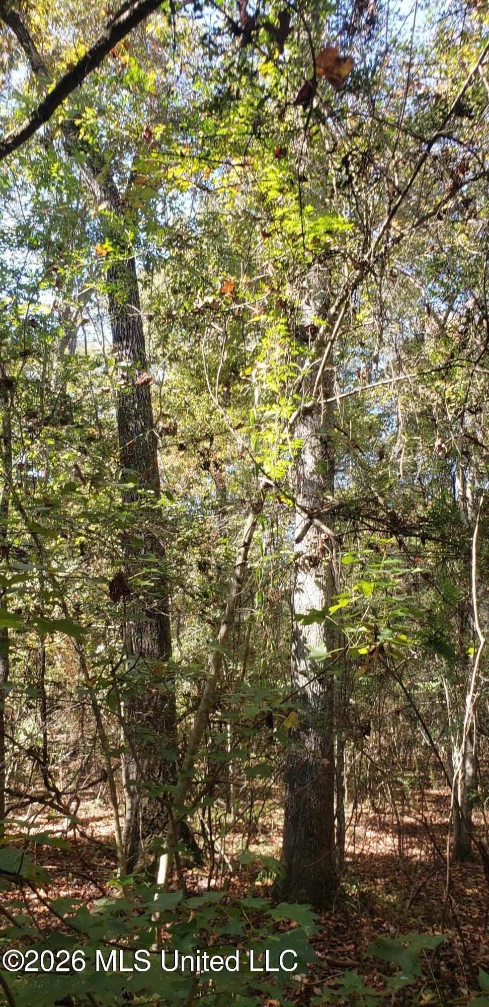 Us Highway 98 Property Photo 4