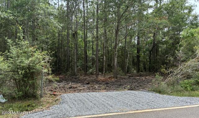 Parcel 1 Menge Avenue Property Photo 1