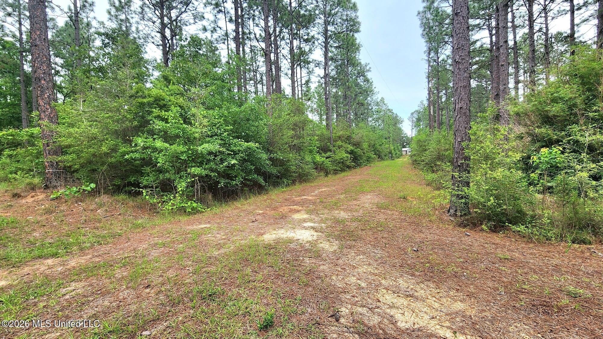3 Guillen Drive Property Photo 3