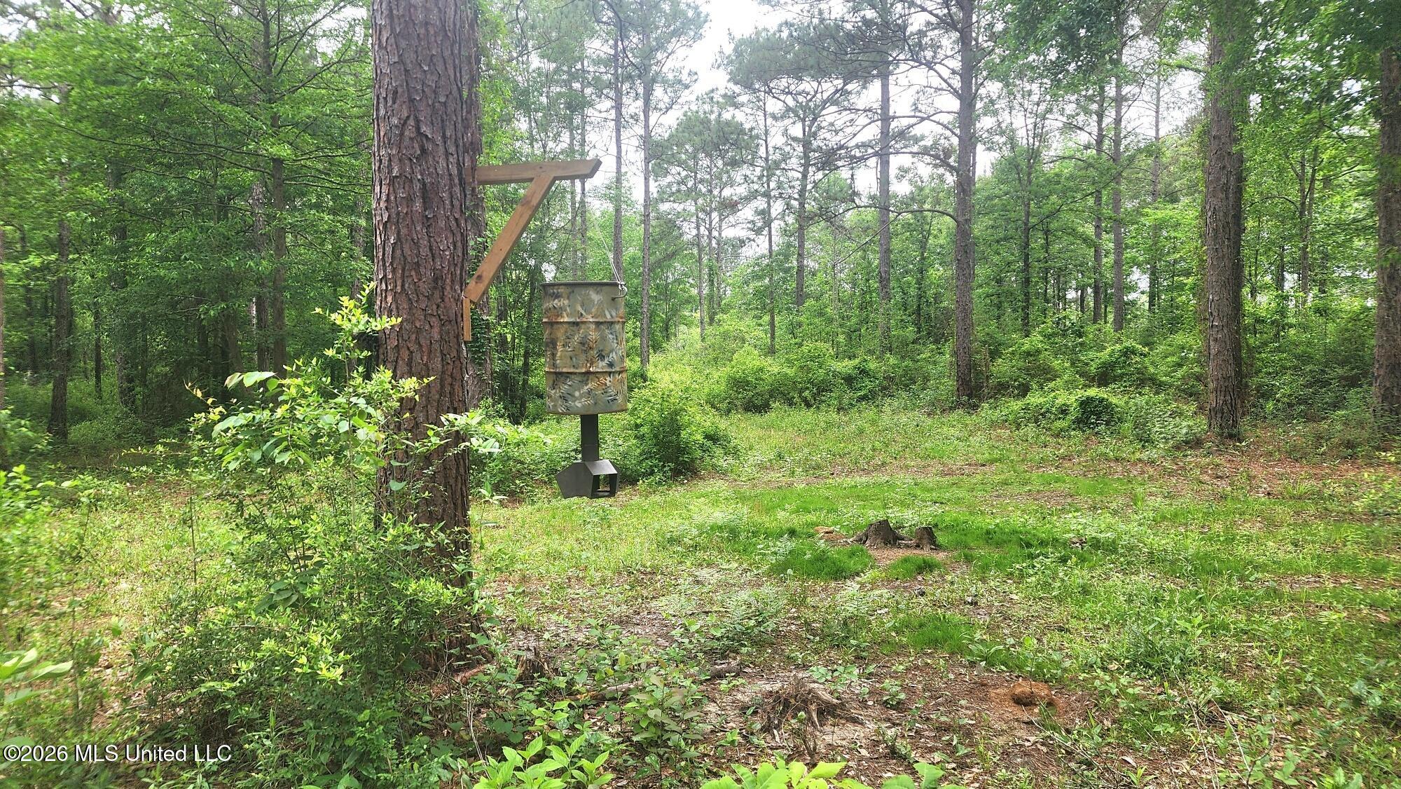 3 Guillen Drive Property Photo 14