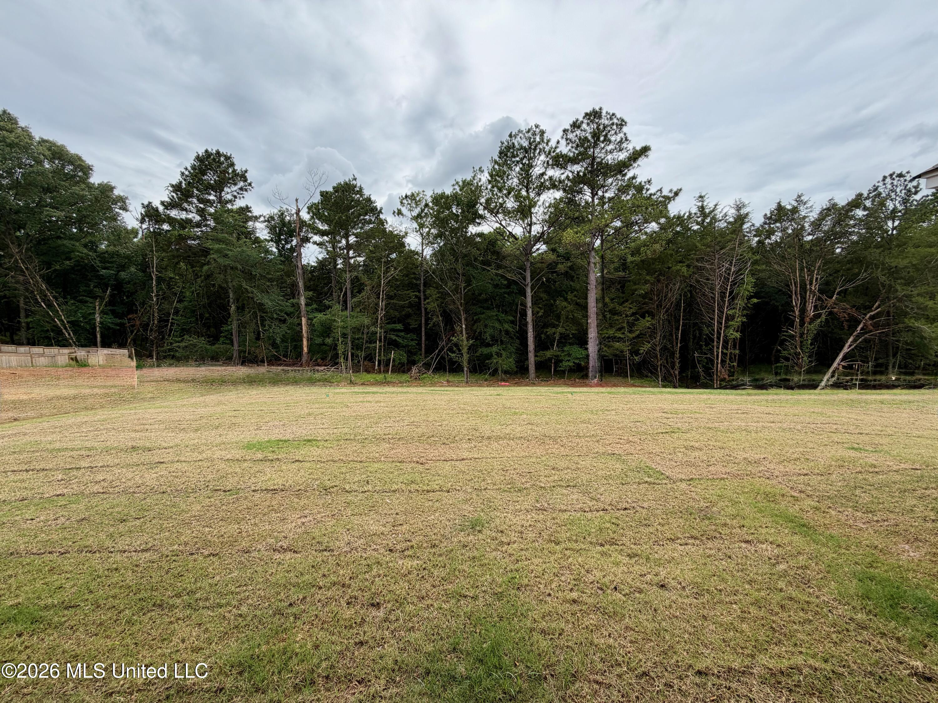 821 Thornberry Ridge Property Photo 40