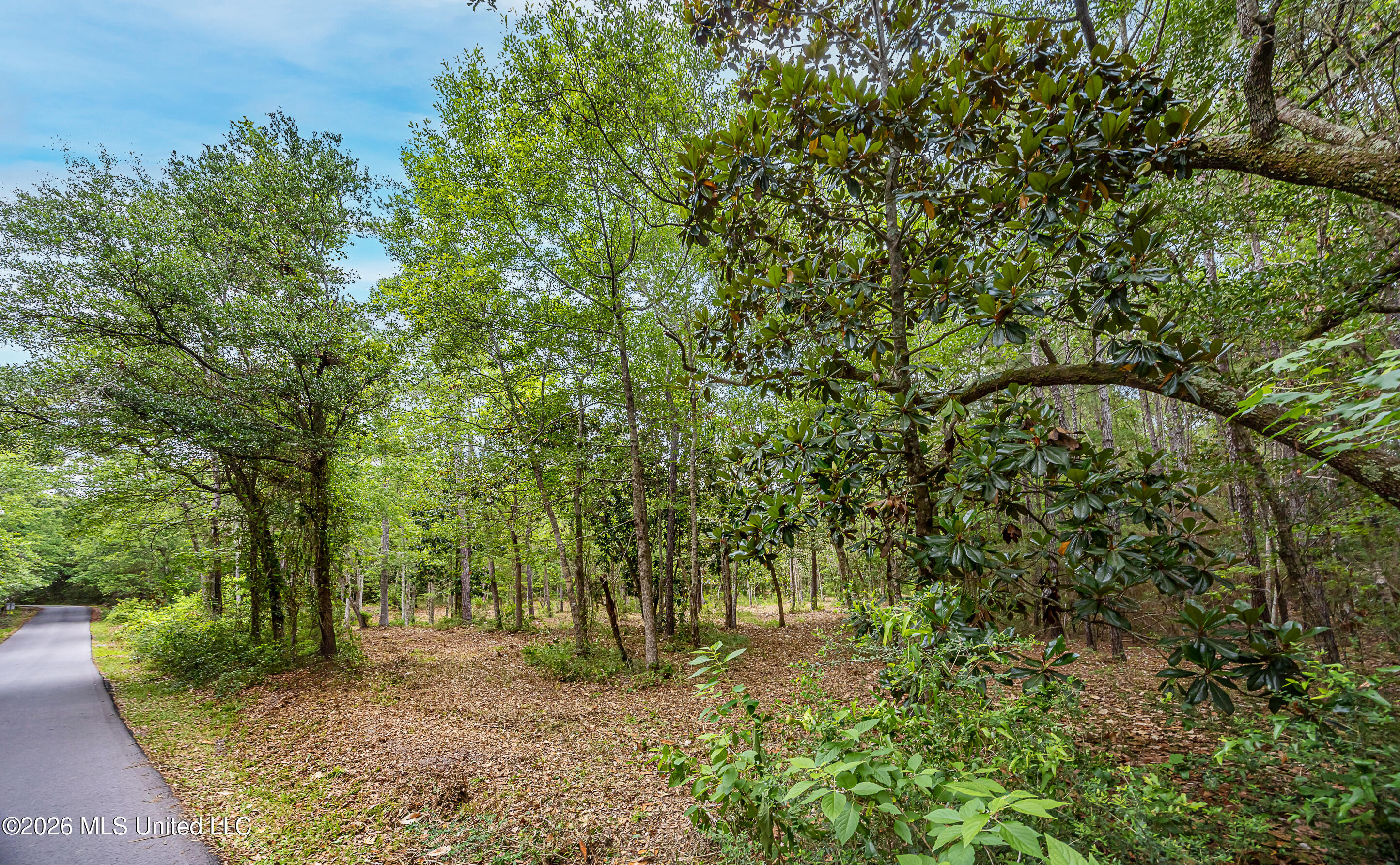 0 Eagle Point Road Property Photo 1