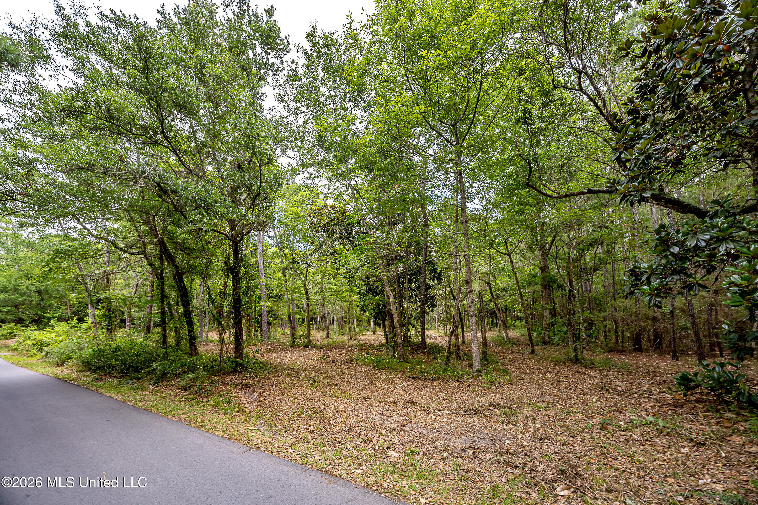0 Eagle Point Road Property Photo 6