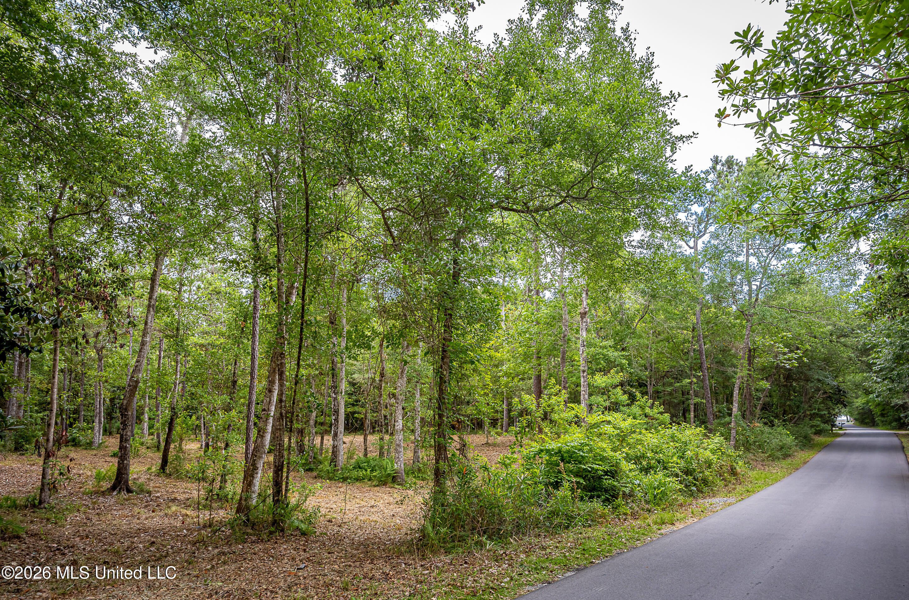 0 Eagle Point Road Property Photo 9