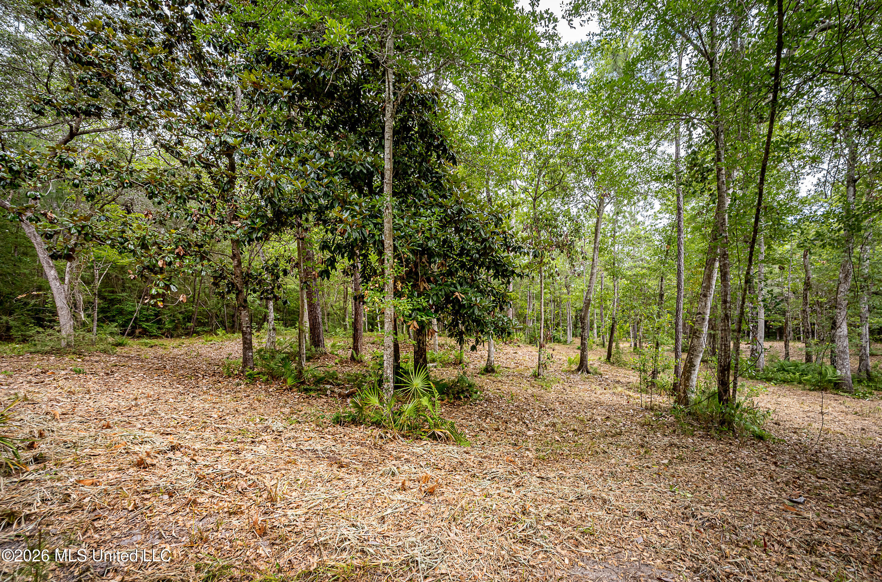 0 Eagle Point Road Property Photo 10