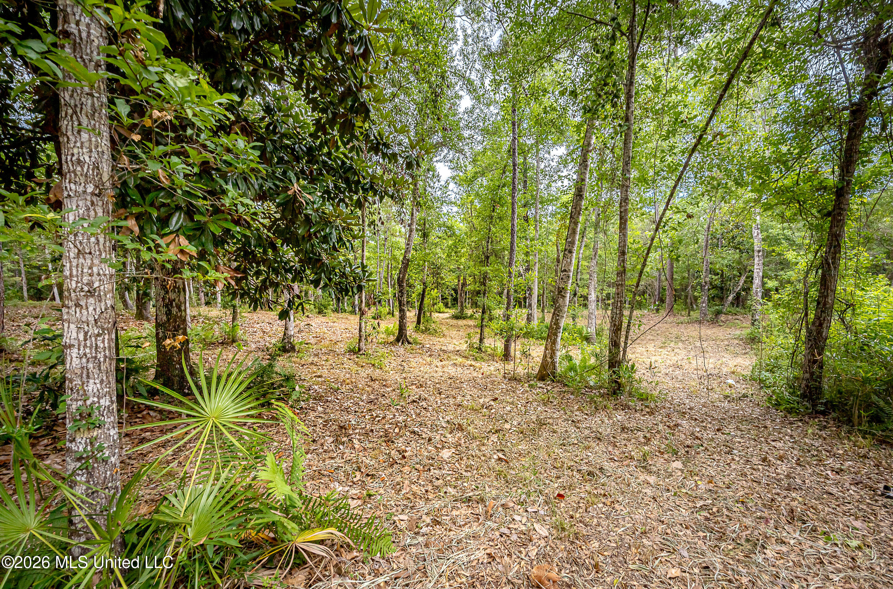 0 Eagle Point Road Property Photo 12
