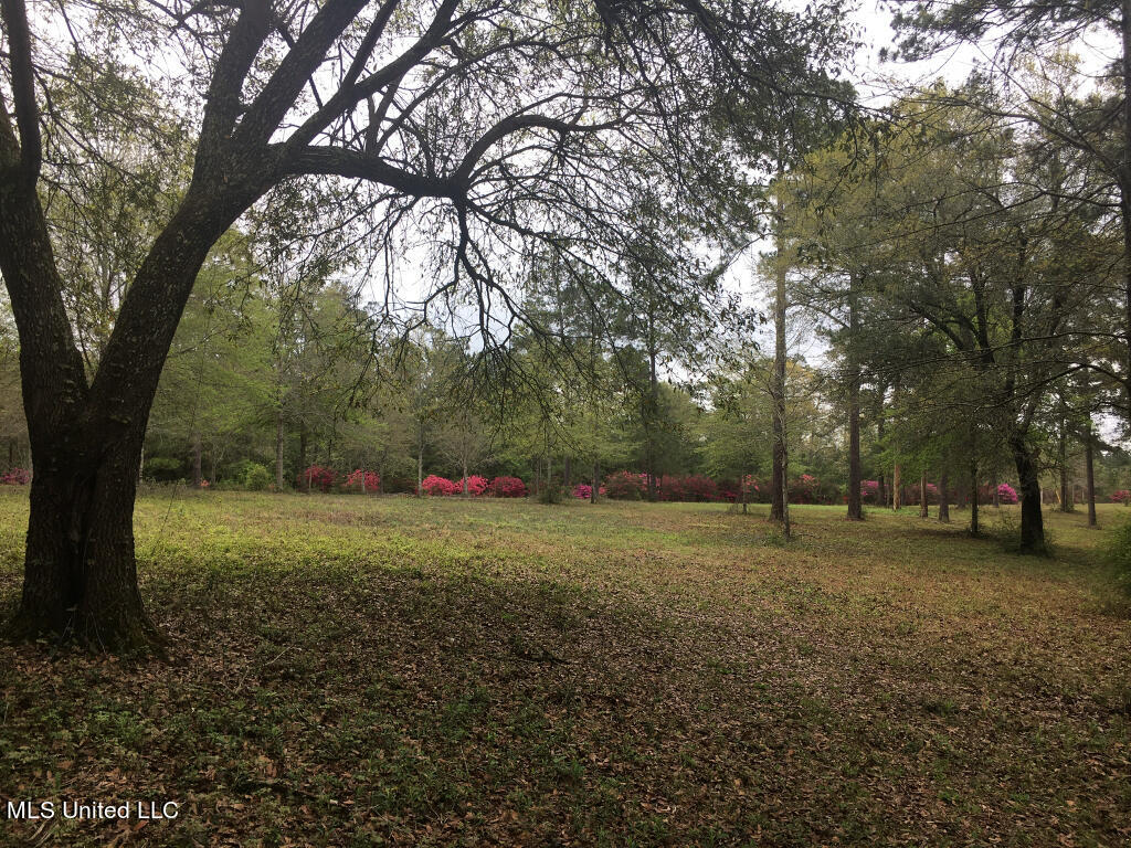 1 Lost Lunker Drive Property Photo 1