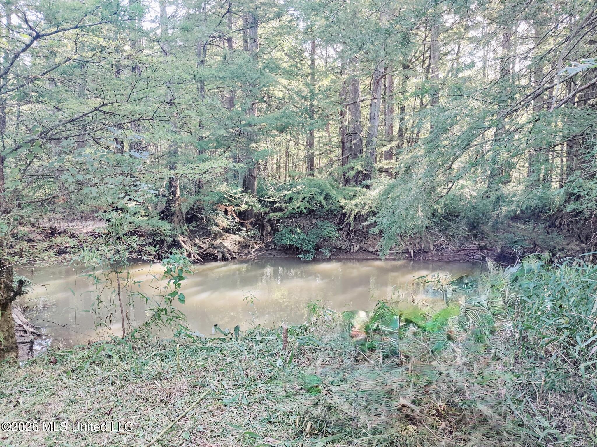 Miller Road Property Photo 3