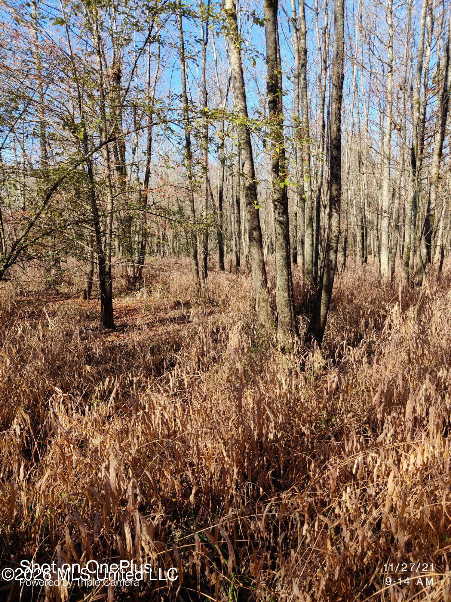 Miller Road Property Photo 5