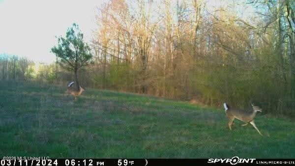 Miller Road Property Photo 7