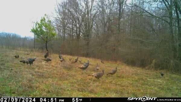 Miller Road Property Photo 8