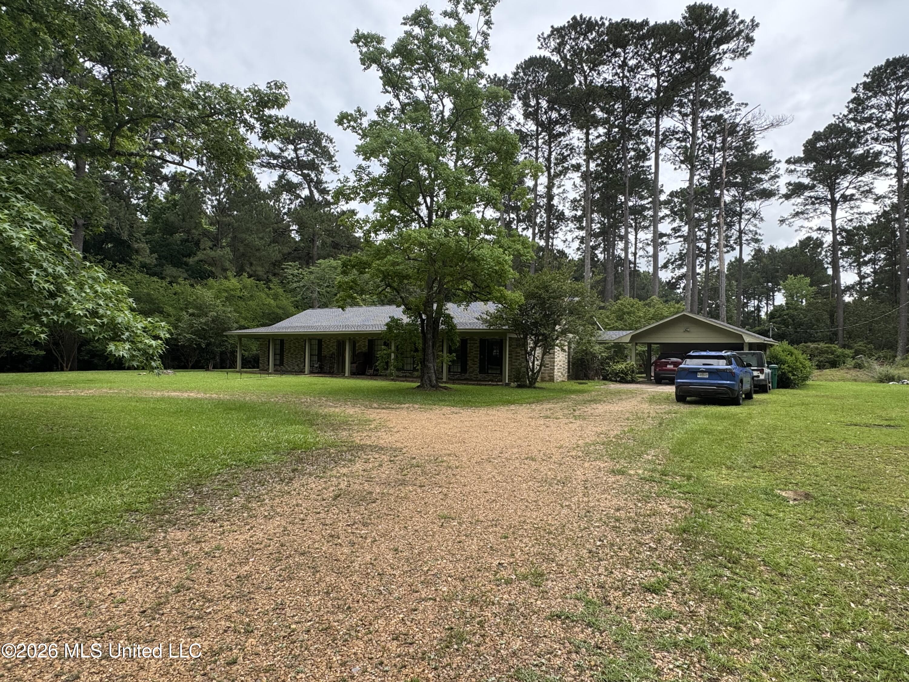 2216 Cane Creek Road Property Photo 4