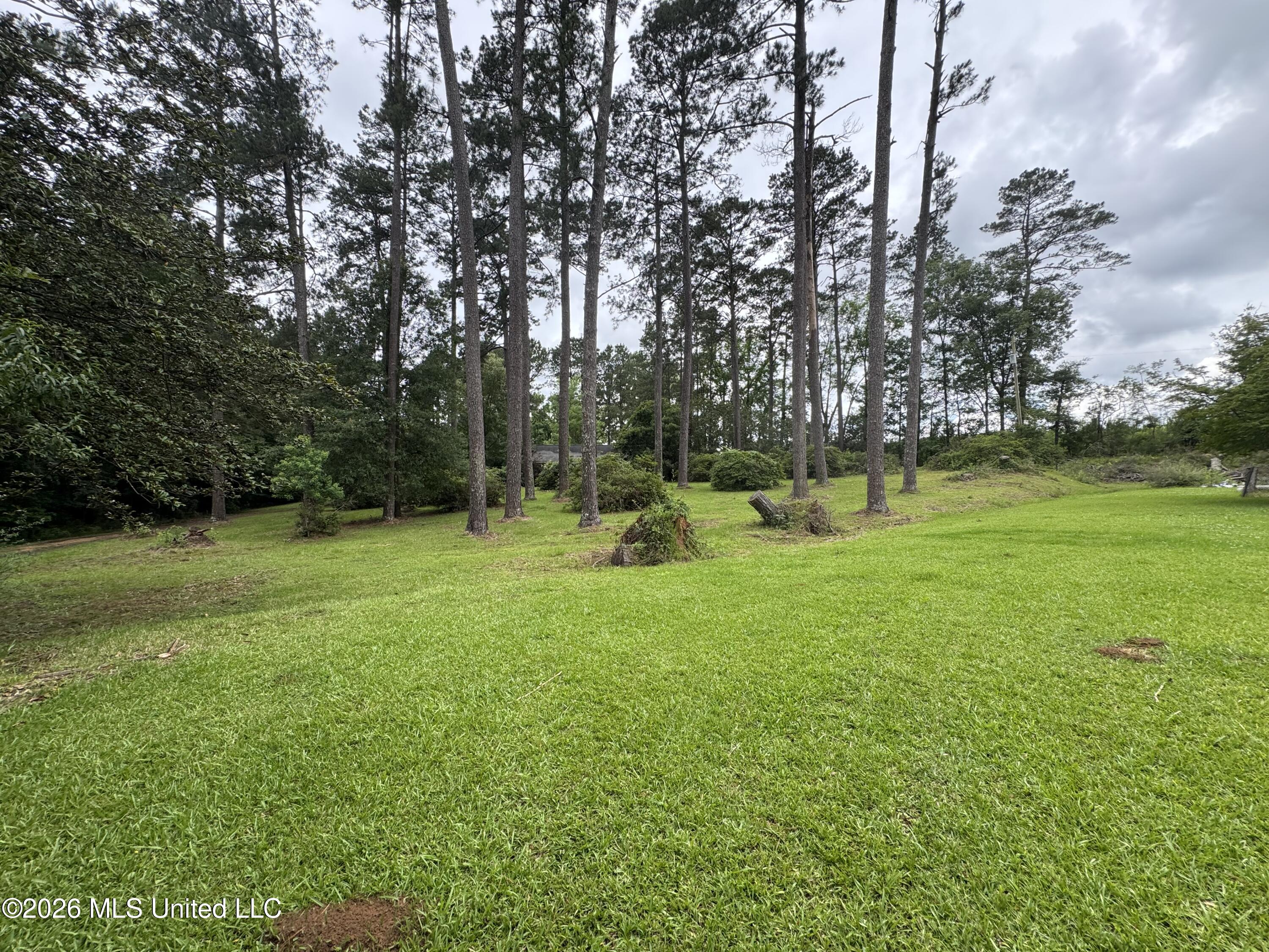 2216 Cane Creek Road Property Photo 13