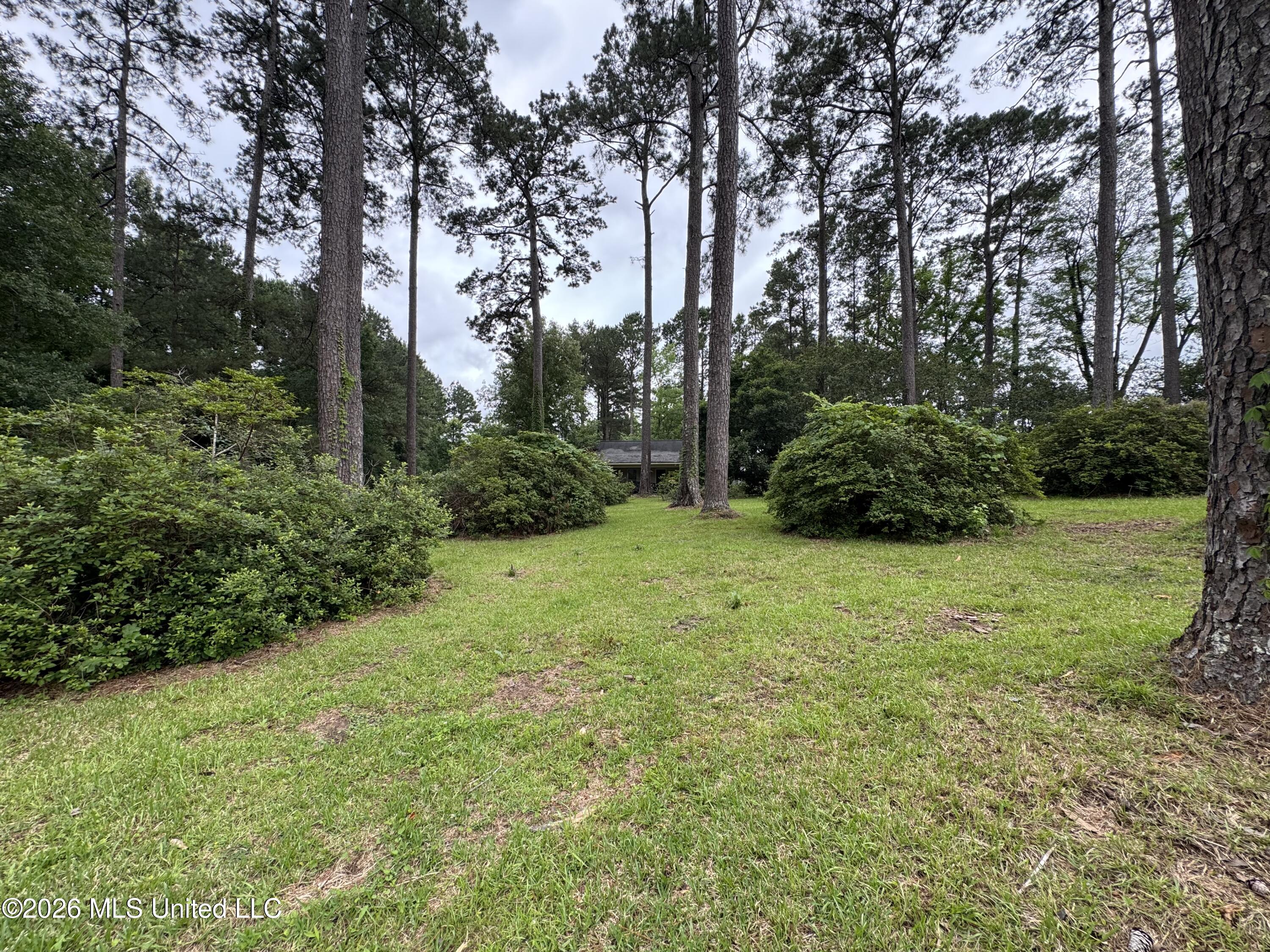 2216 Cane Creek Road Property Photo 39