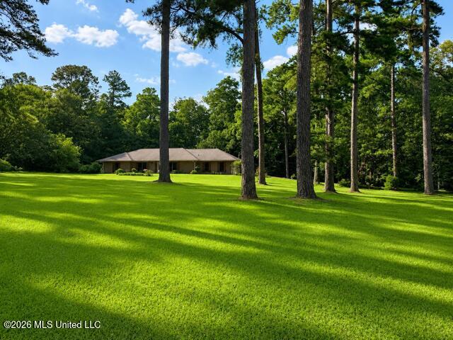 932 White Road Property Photo 1