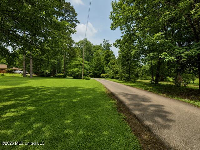 932 White Road Property Photo 6