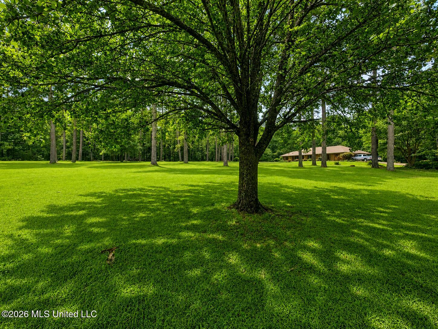 932 White Road Property Photo 27