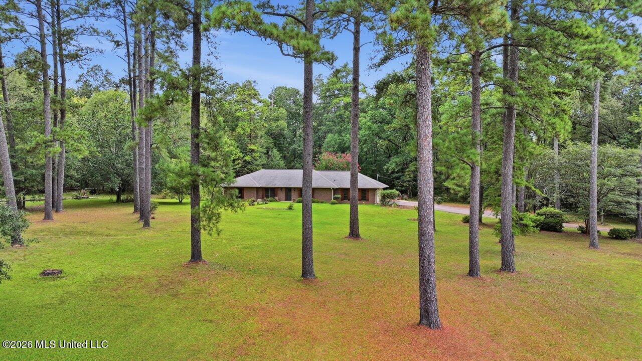 932 White Road Property Photo 33