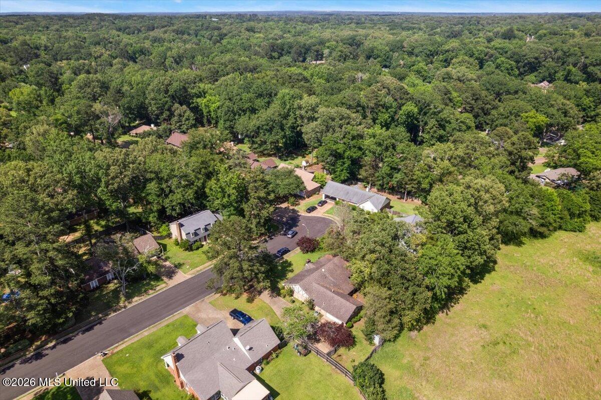 100 Winding Hills Drive Property Photo 35