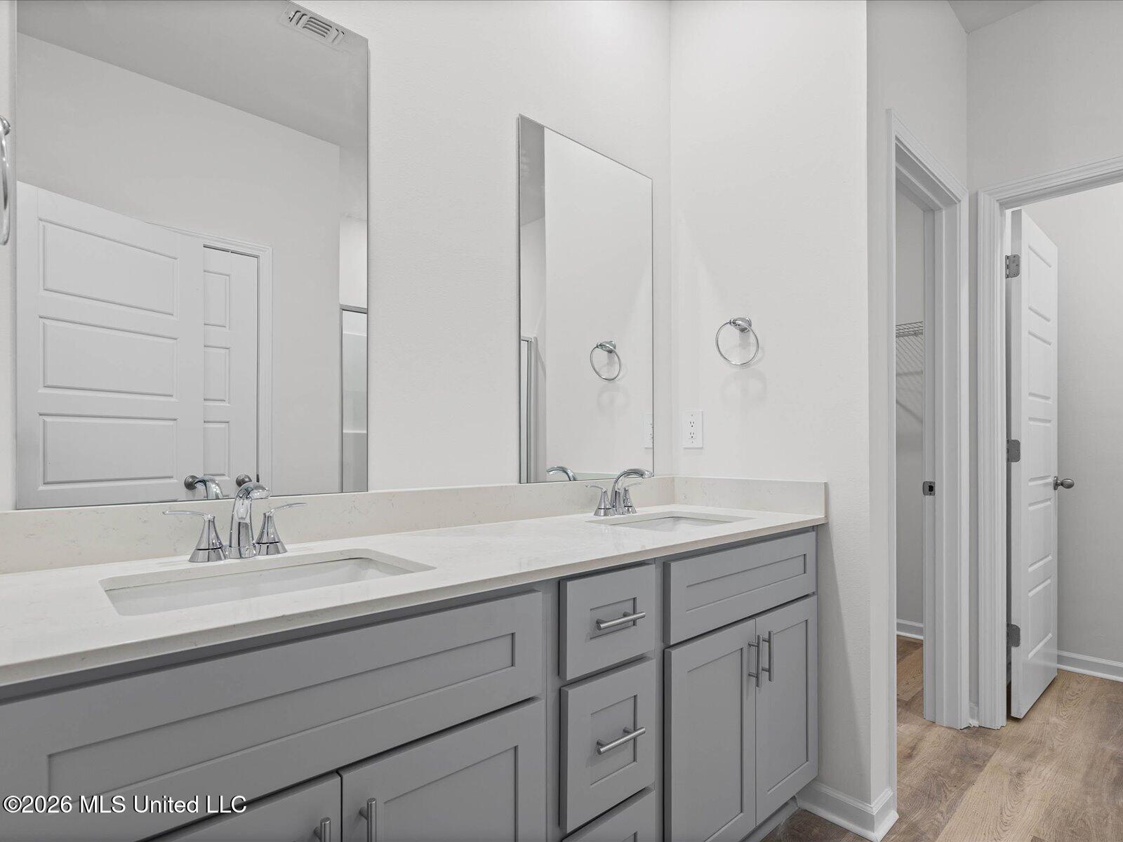 15249 Hidden Lily Way Property Photo 13