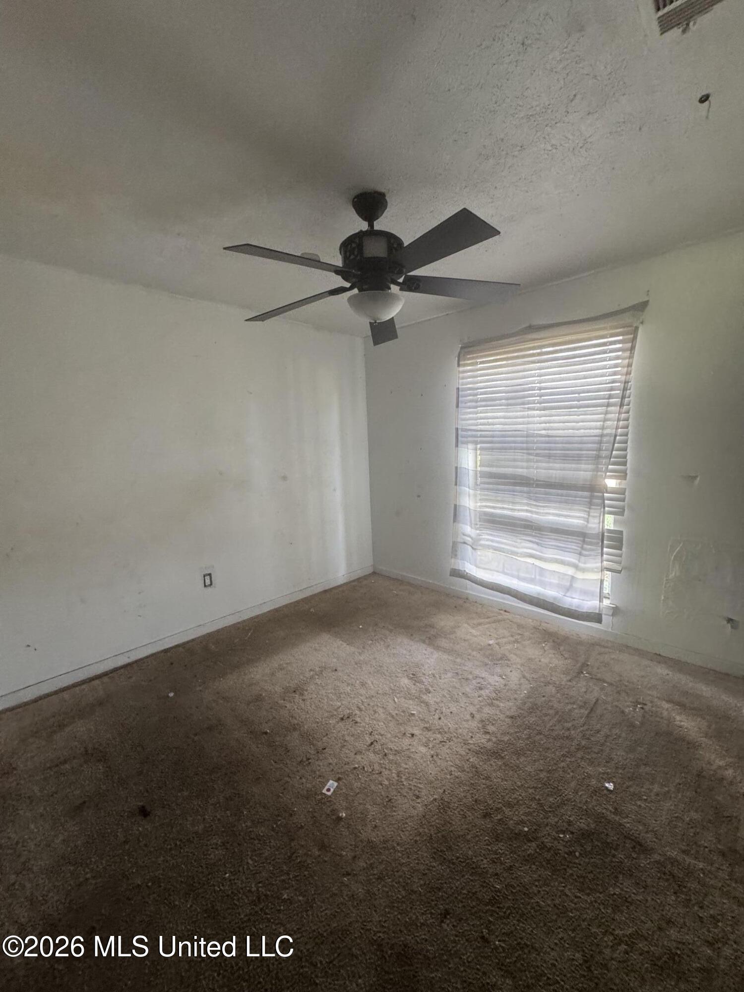 721 Mccluer Road Property Photo 12