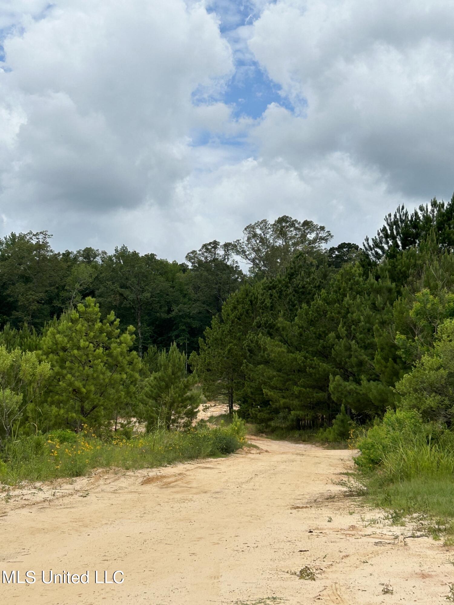 White Road Property Photo 1