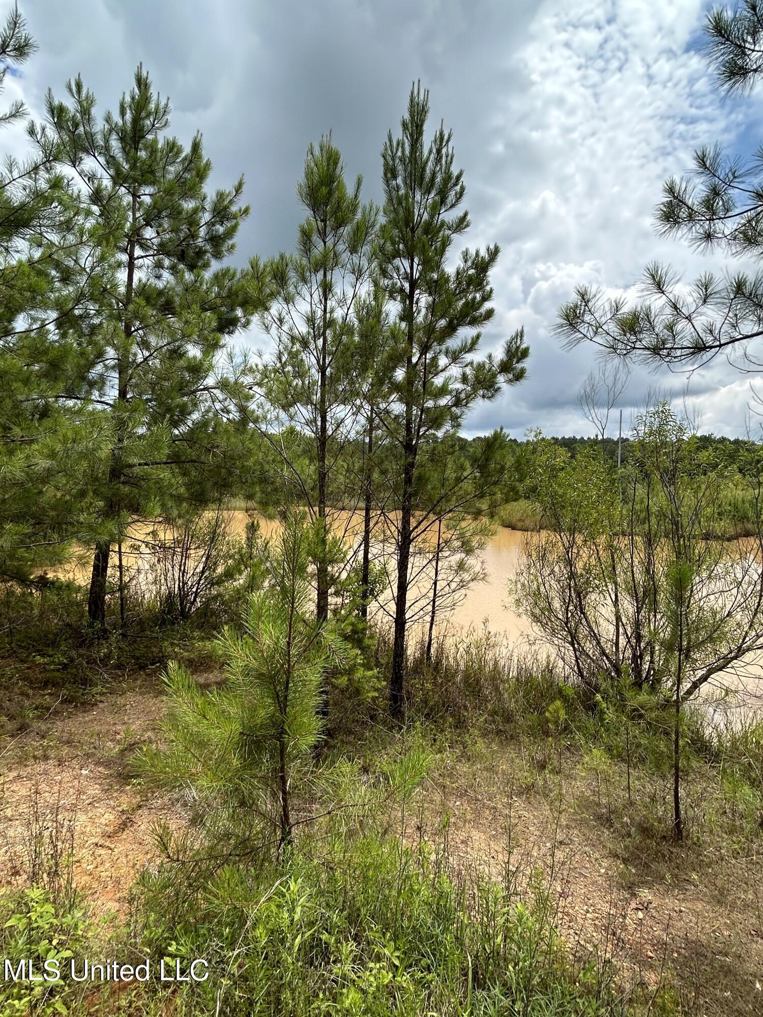 White Road Property Photo 3