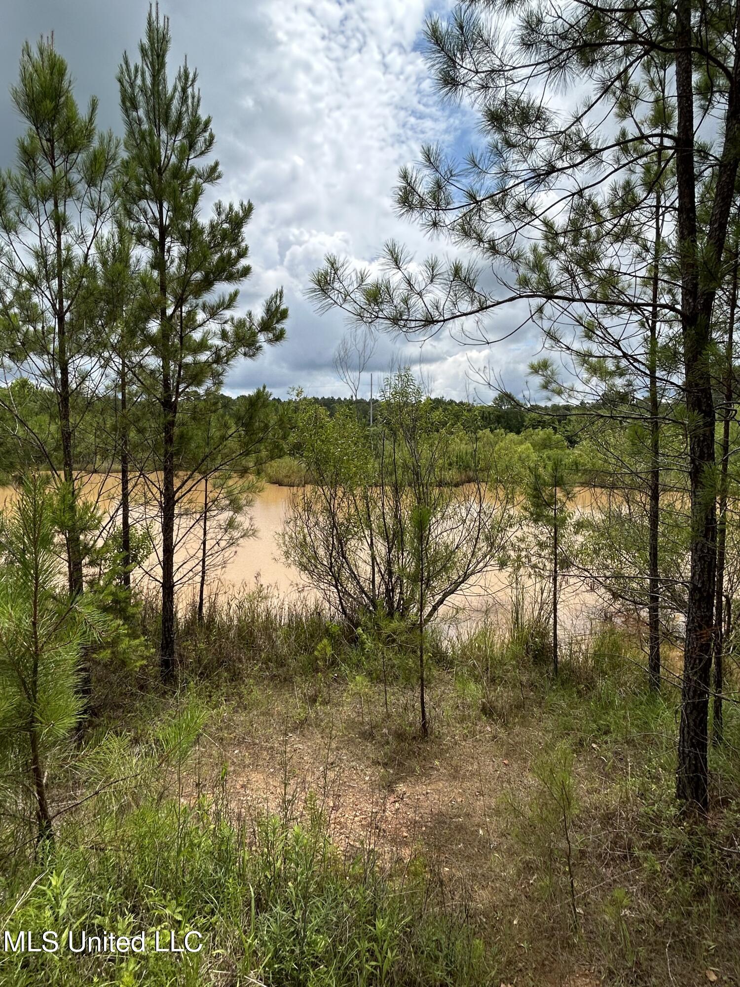 White Road Property Photo 4
