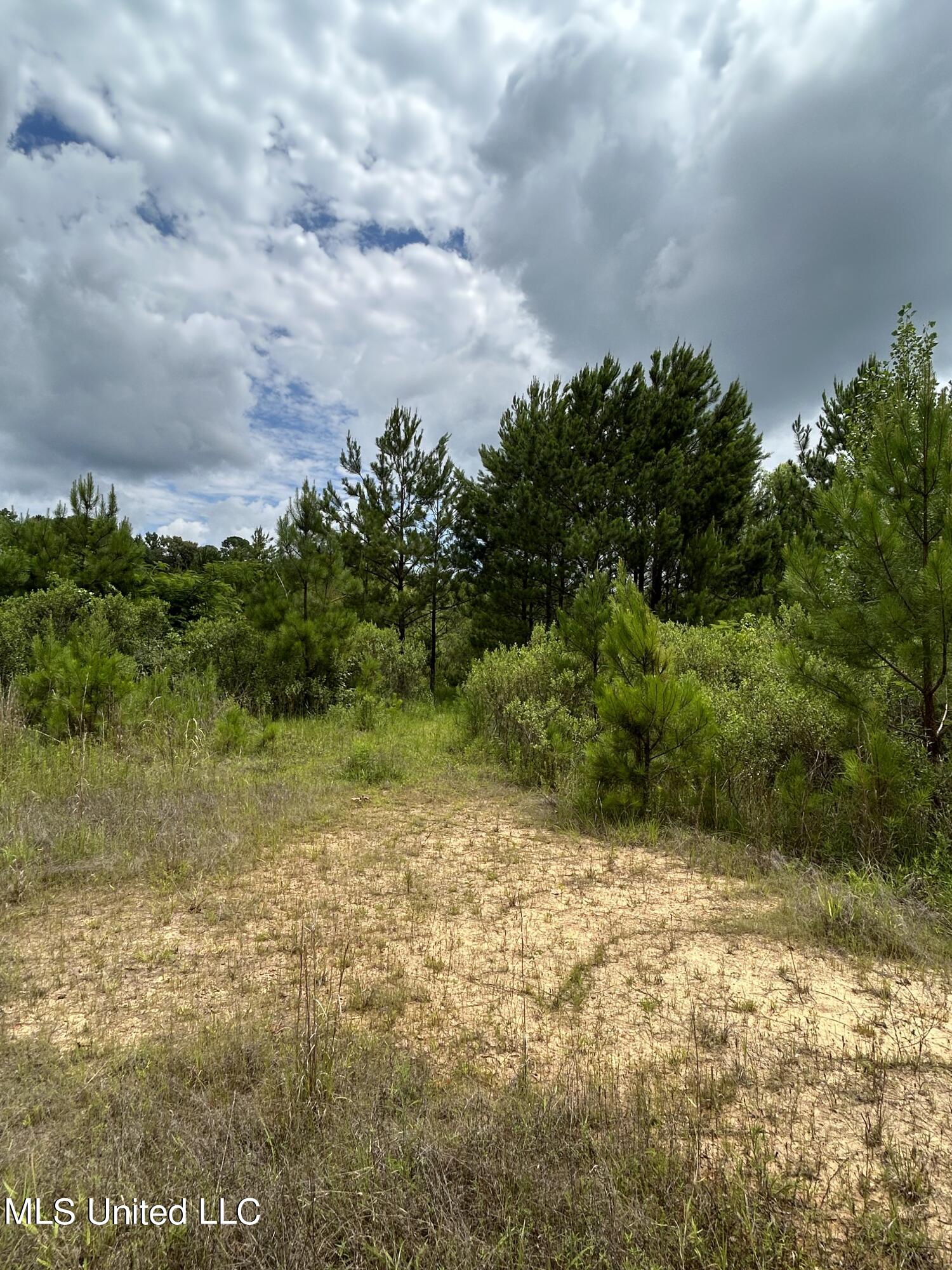 White Road Property Photo 5