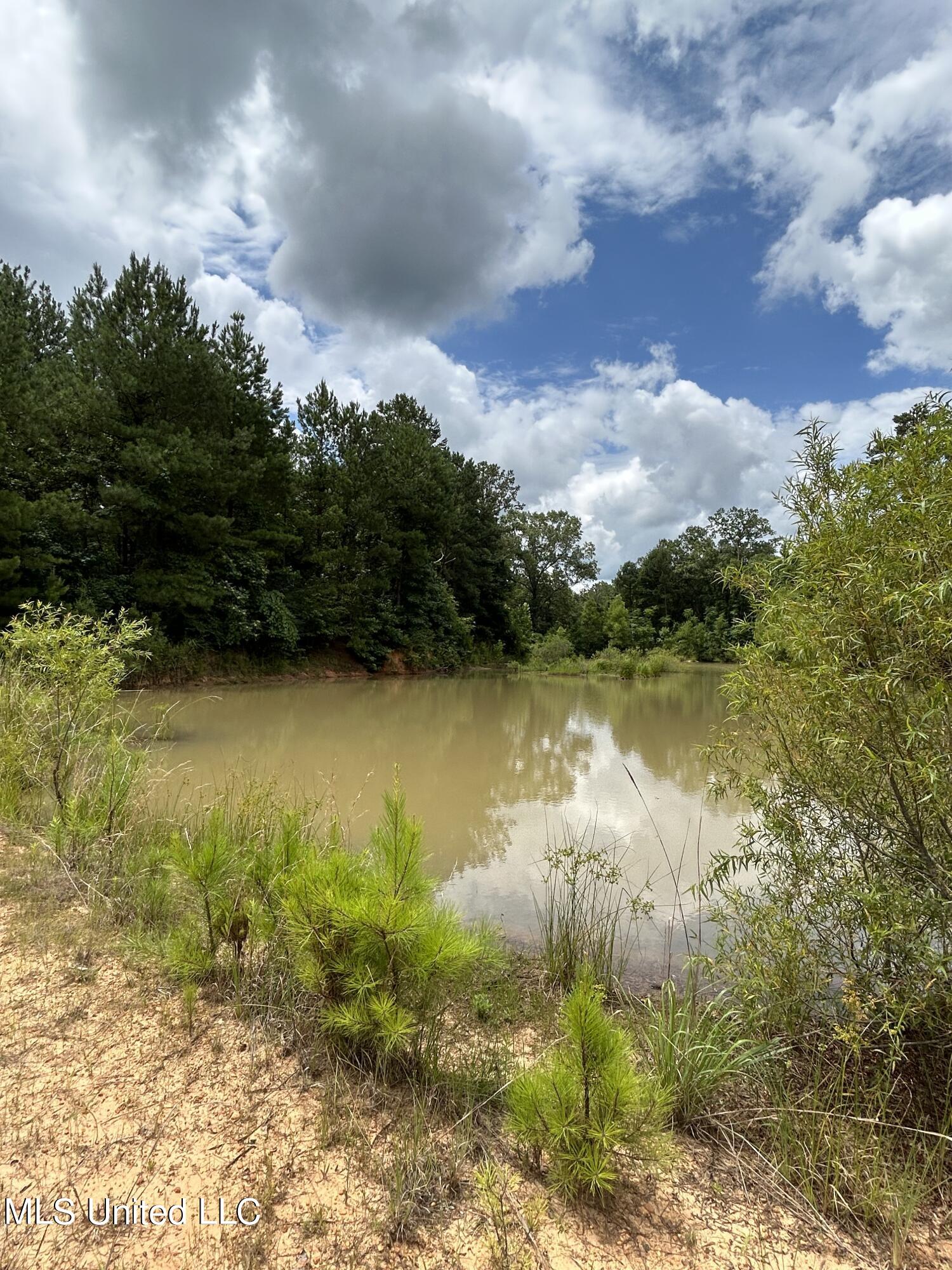 White Road Property Photo 6