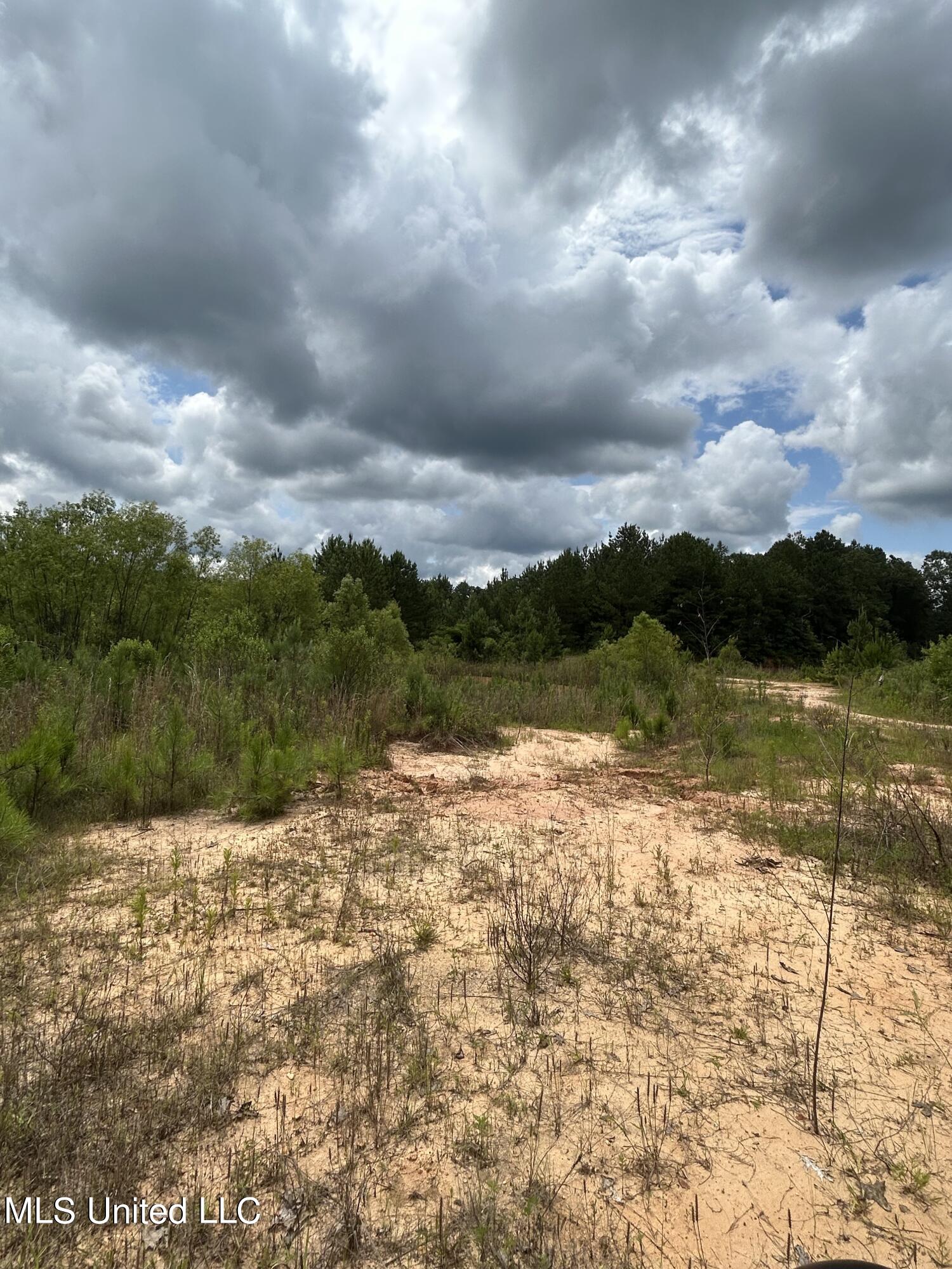 White Road Property Photo 7