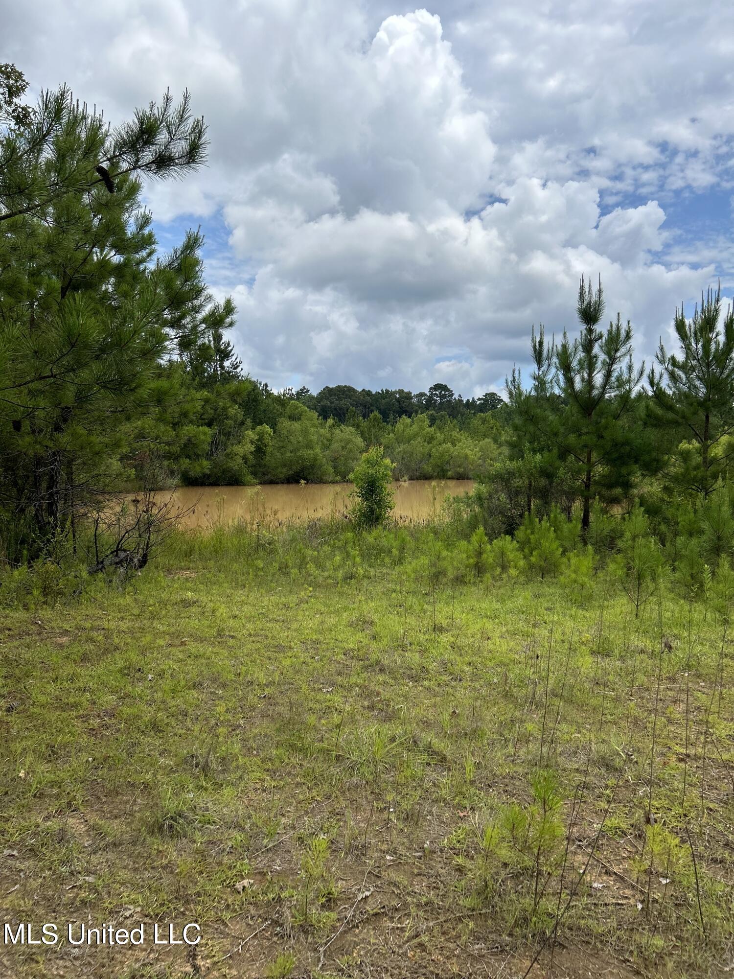 White Road Property Photo 10