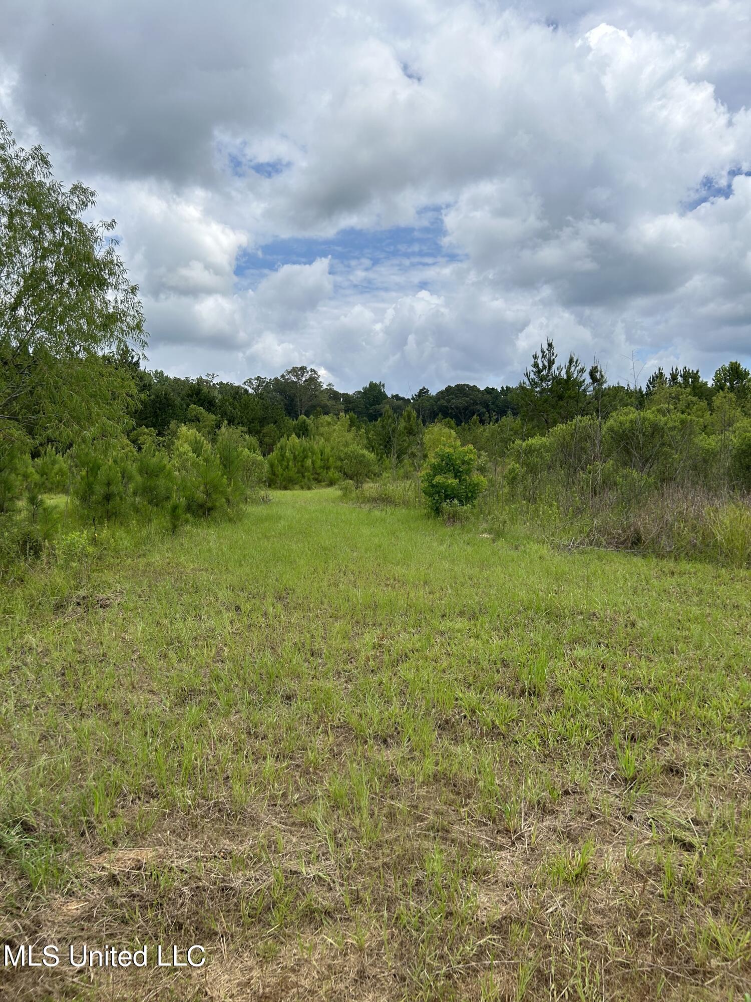 White Road Property Photo 11