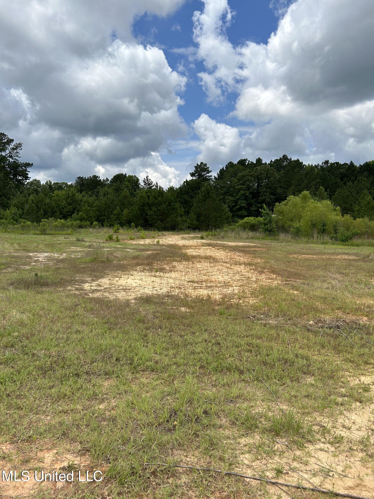 White Road Property Photo 12