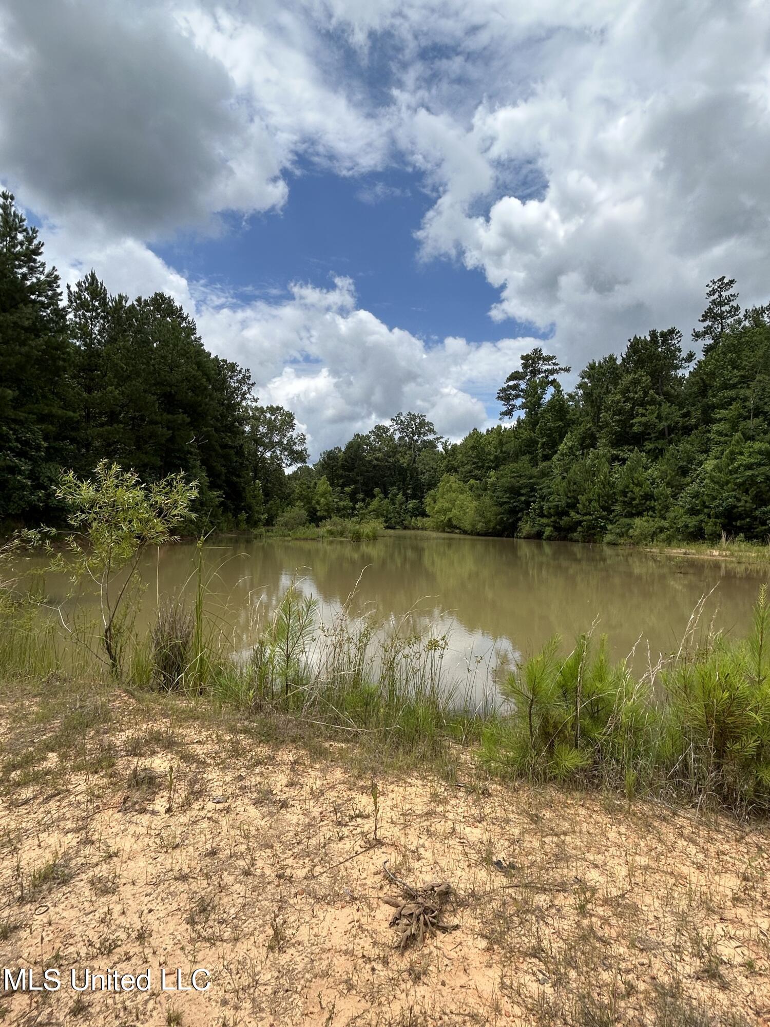 White Road Property Photo 13