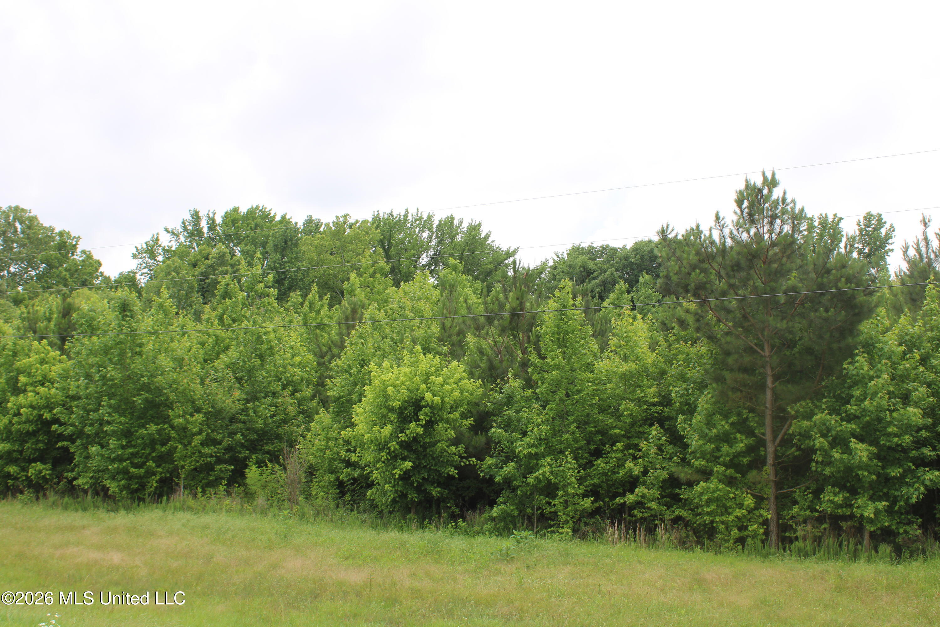 3 Eason Farm Road Property Photo 8