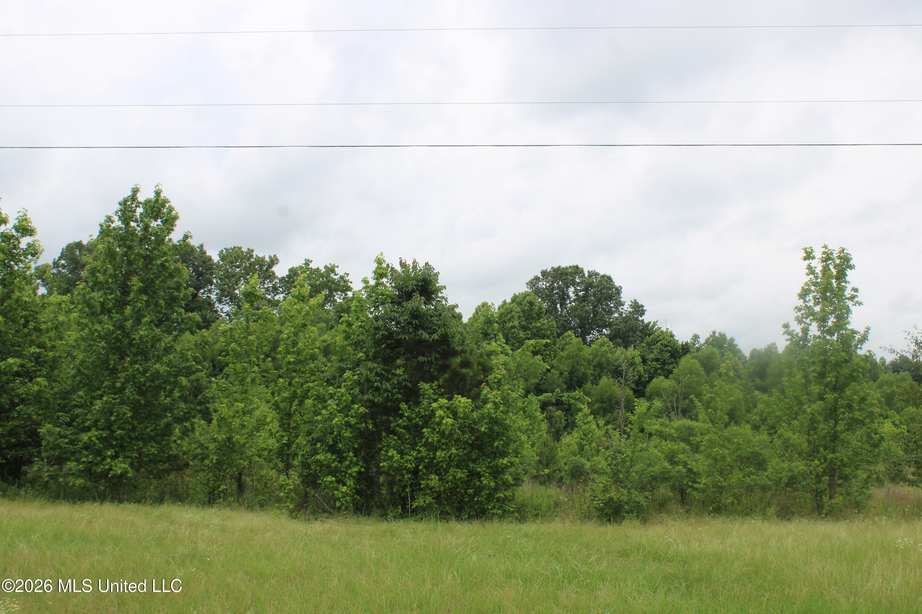 3 Eason Farm Road Property Photo 13