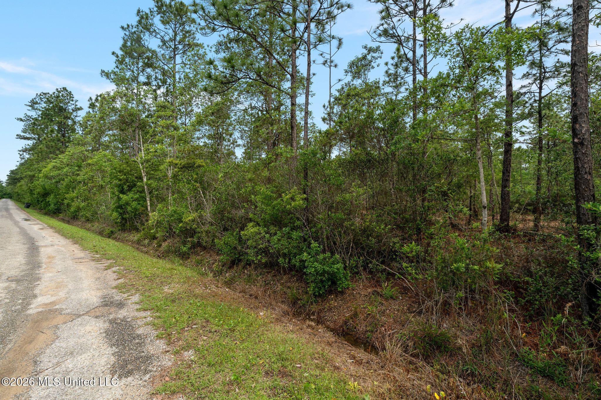 80 Acres Blue Wood Dr Property Photo 3