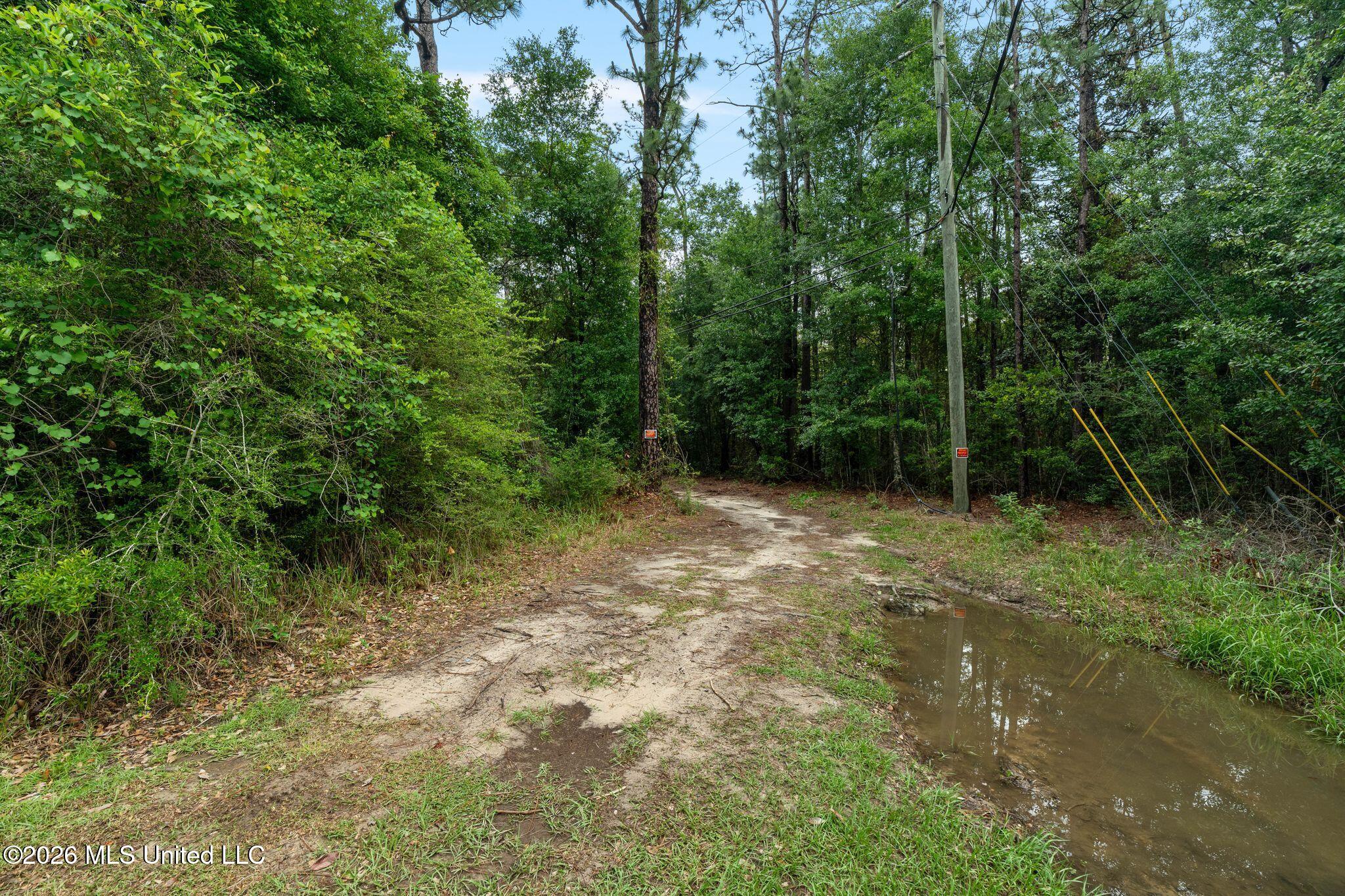 80 Acres Blue Wood Dr Property Photo 6