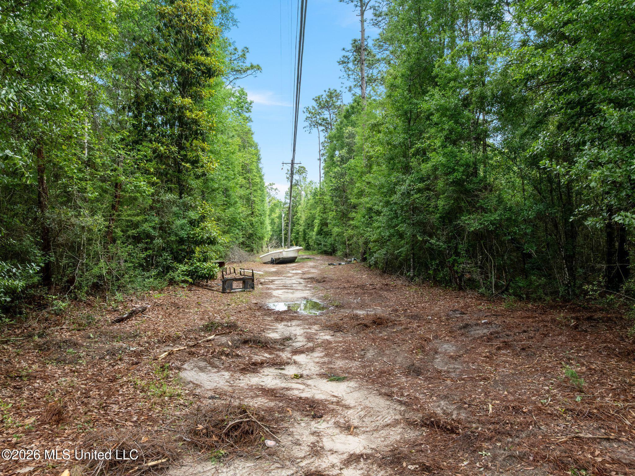 80 Acres Blue Wood Dr Property Photo 7