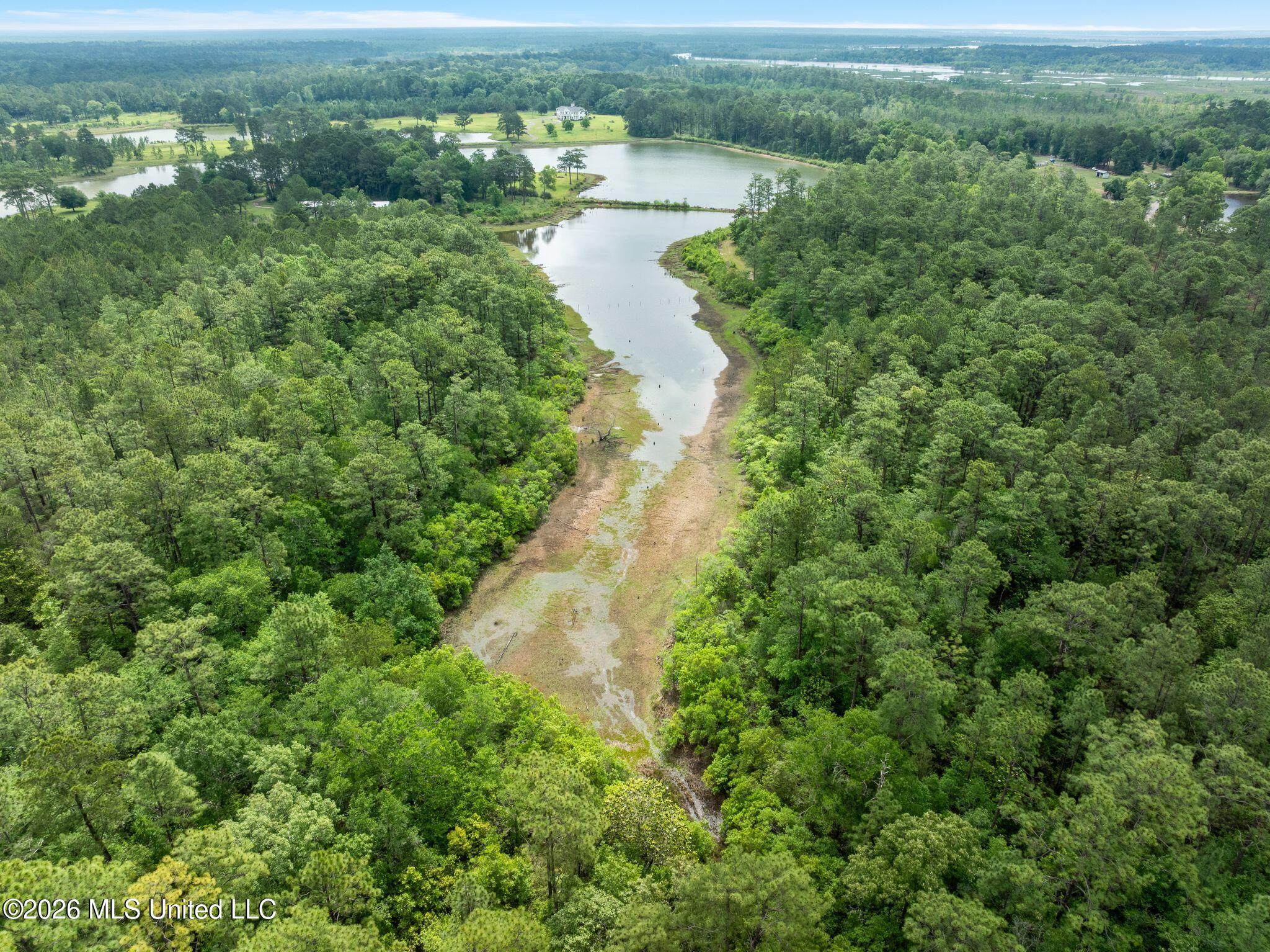 80 Acres Blue Wood Dr Property Photo 13