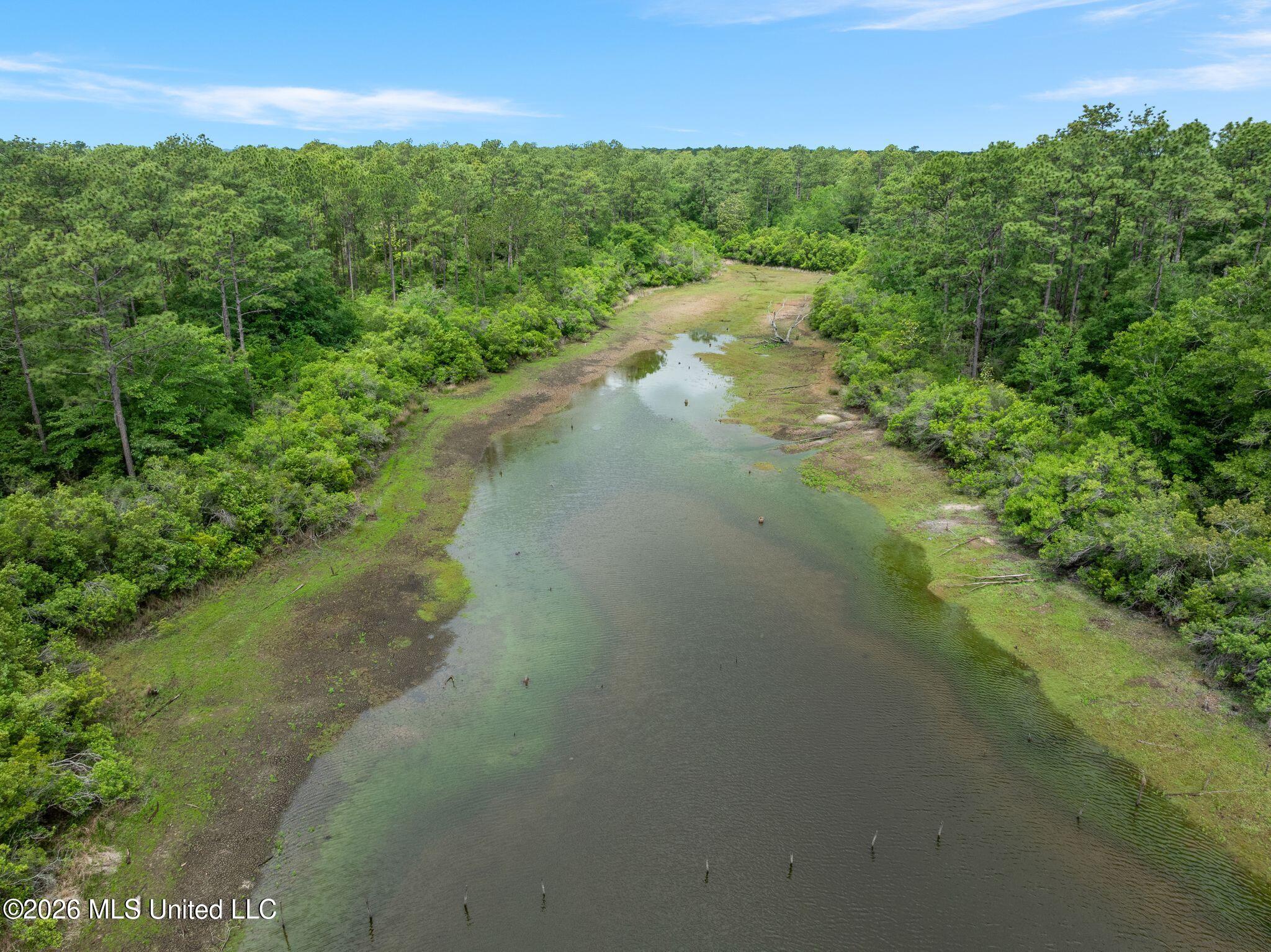 80 Acres Blue Wood Dr Property Photo 14