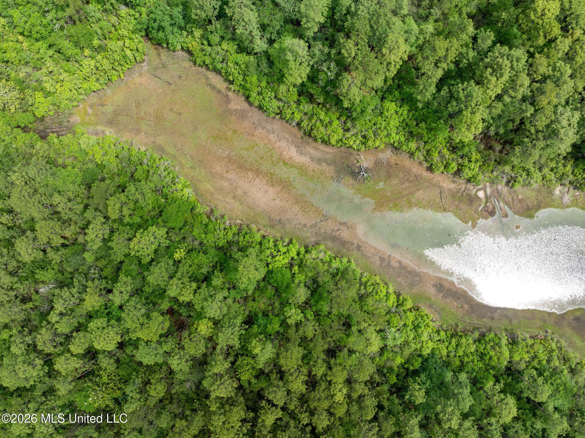 80 Acres Blue Wood Dr Property Photo 15