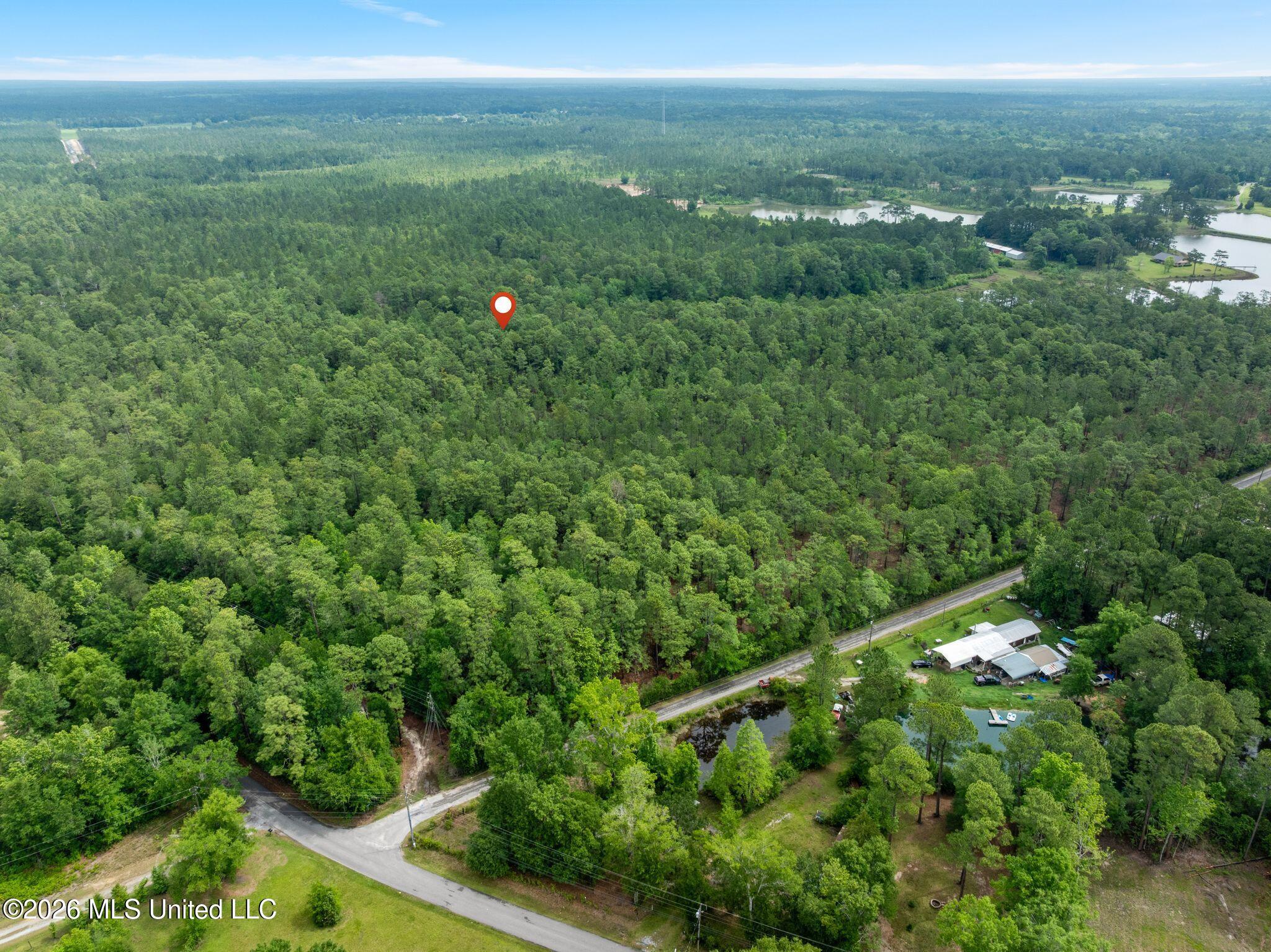 80 Acres Blue Wood Dr Property Photo 16