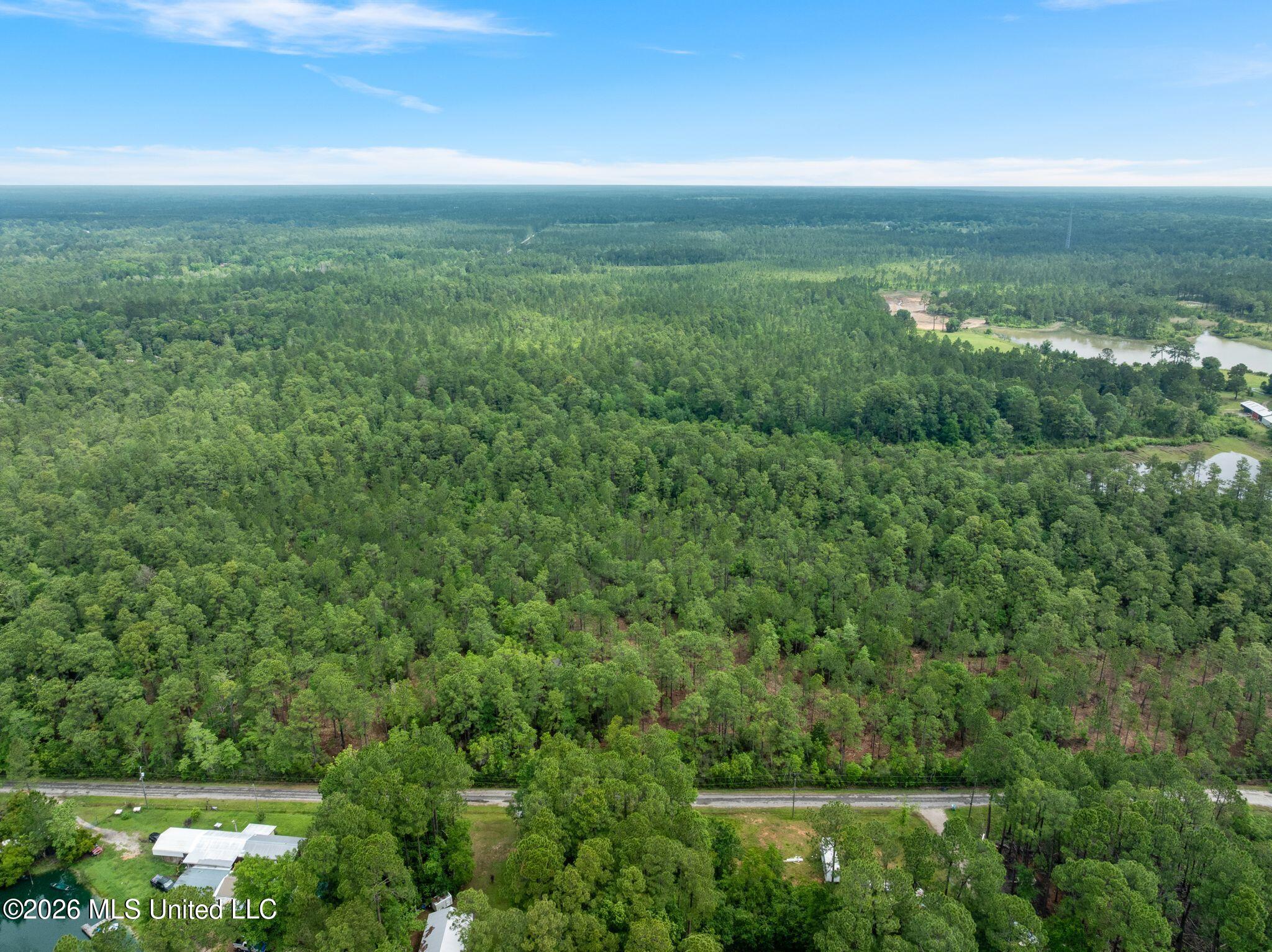 80 Acres Blue Wood Dr Property Photo 17