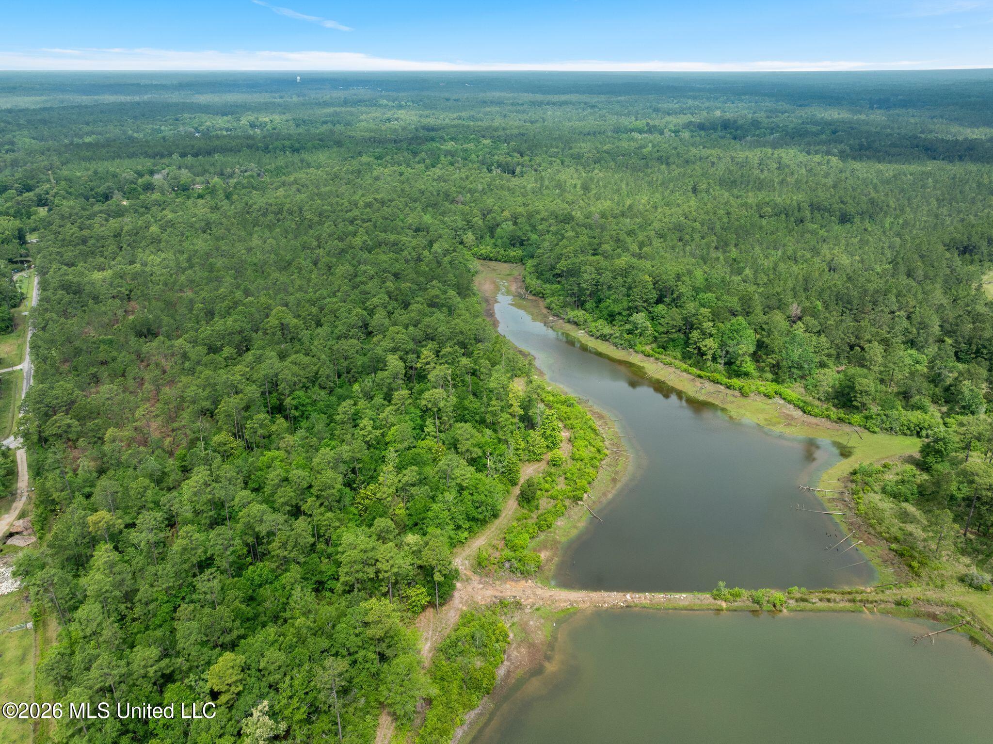 80 Acres Blue Wood Dr Property Photo 19