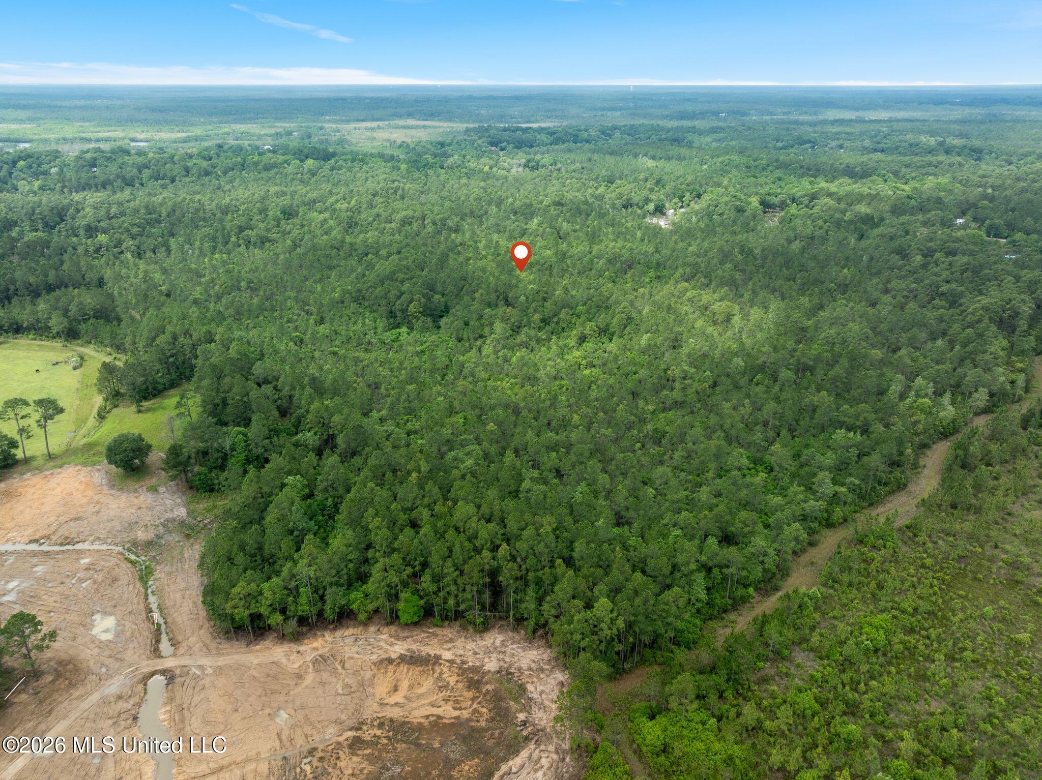 80 Acres Blue Wood Dr Property Photo 20