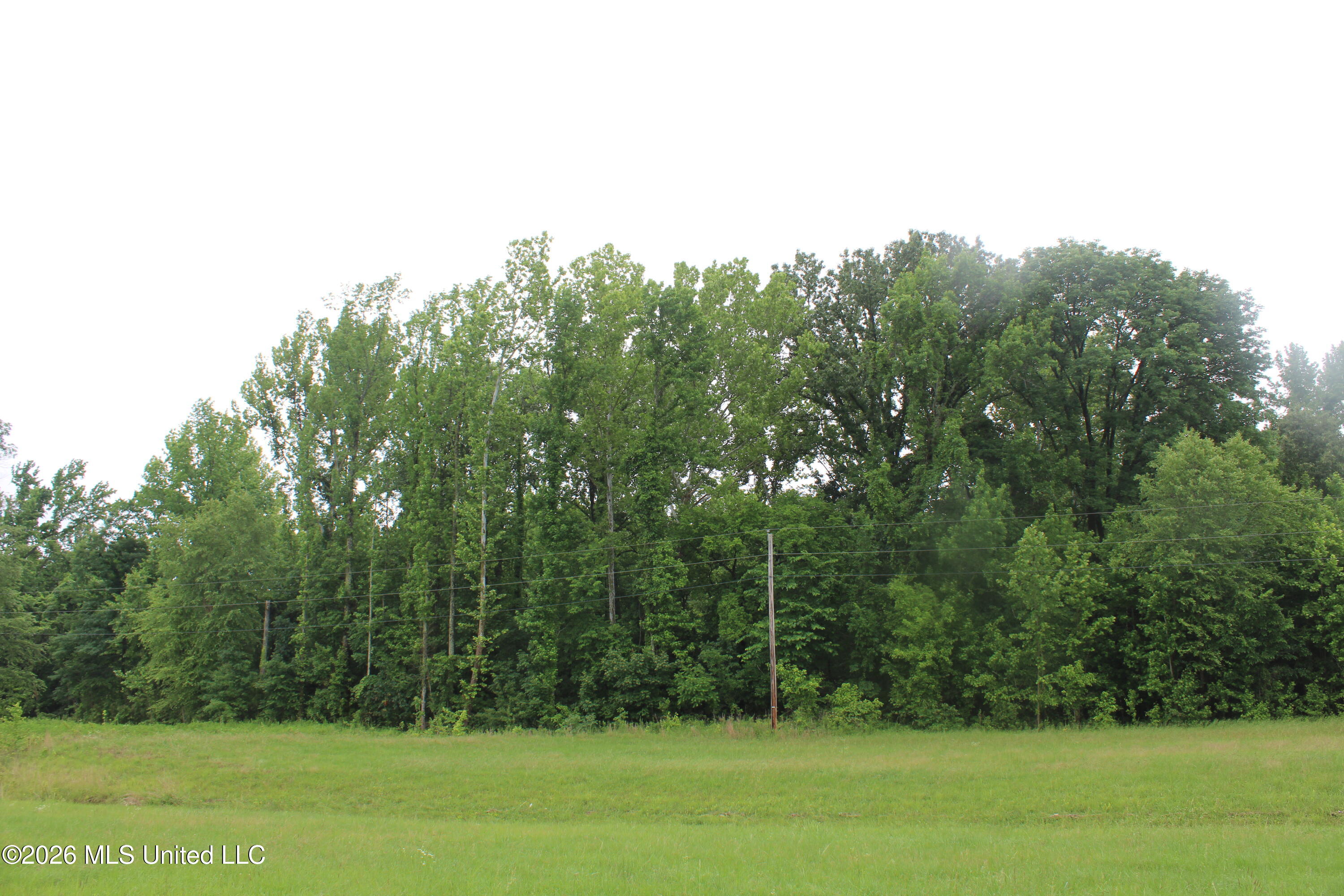 6 Eason Farm Road Property Photo 3