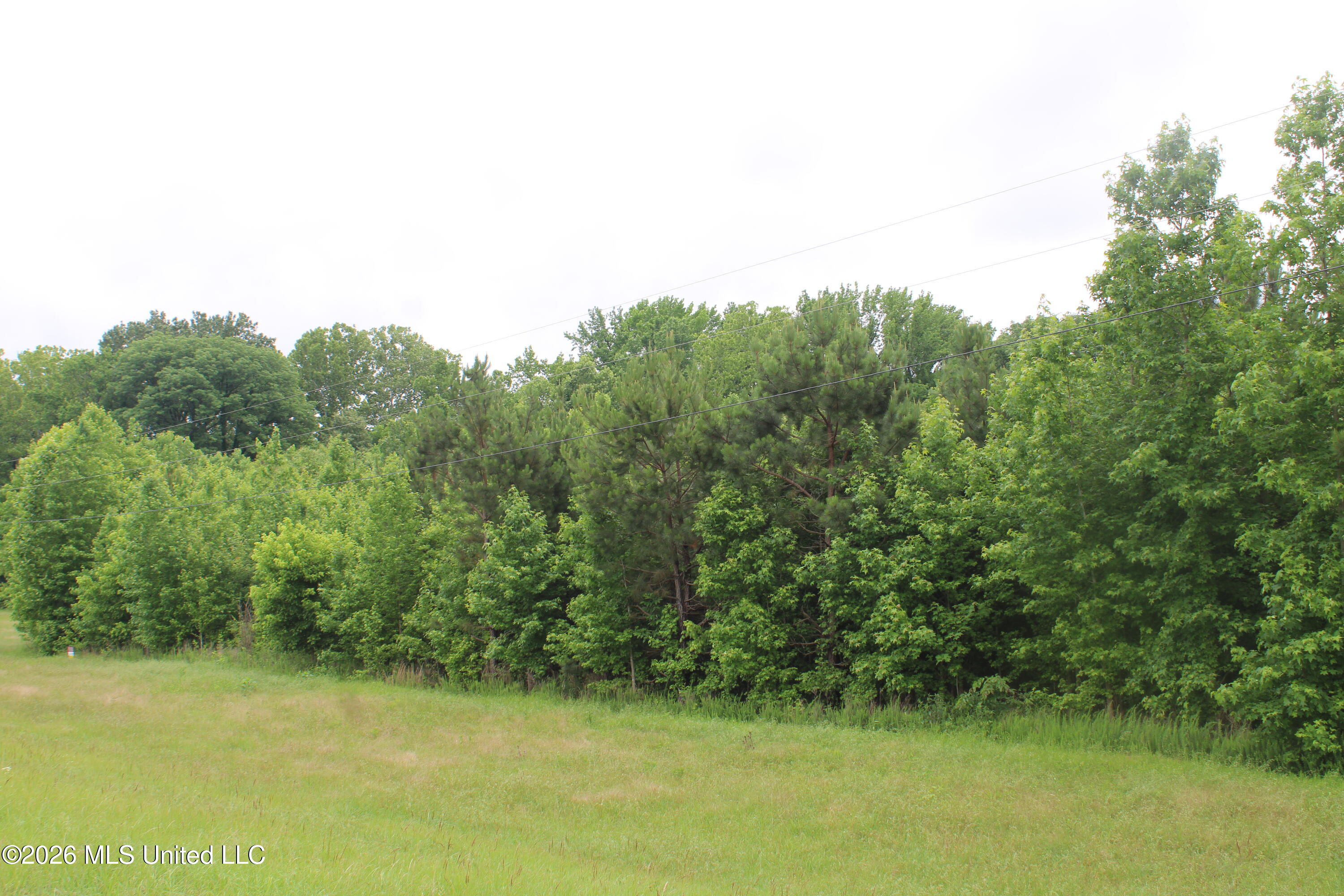 6 Eason Farm Road Property Photo 8