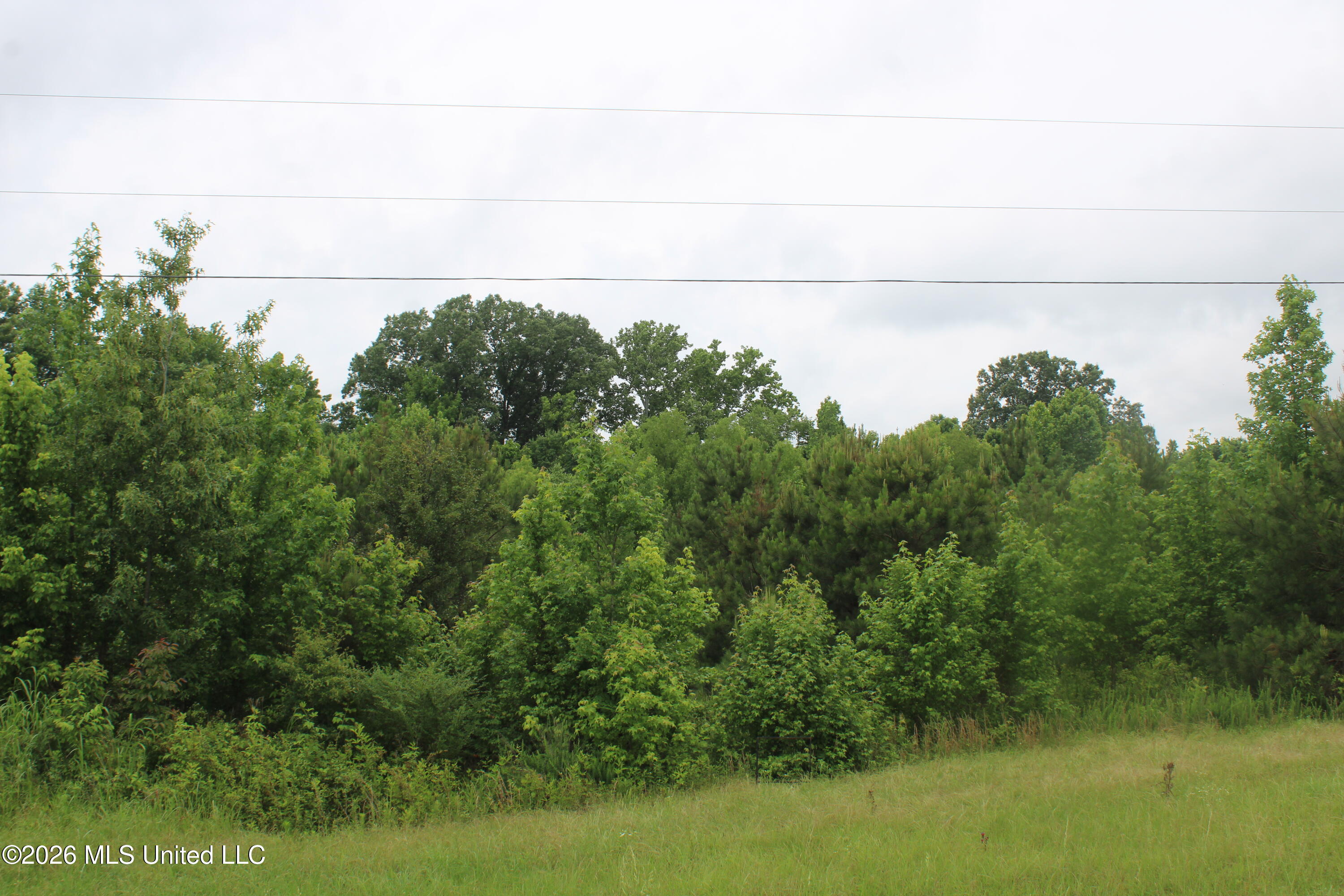 6 Eason Farm Road Property Photo 10